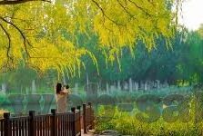 天天德州玩扑克新平台-天天德州新扑克平台，重塑经典，引领潮流