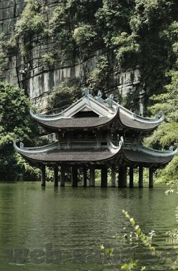 足球比分平半-足球比分中的平半盘口，解析、策略与影响