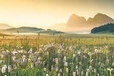 足球比分足球比分网-足球比分网，球迷的数字战场与情感纽带